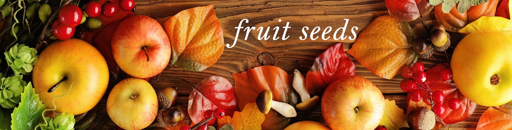 fruits