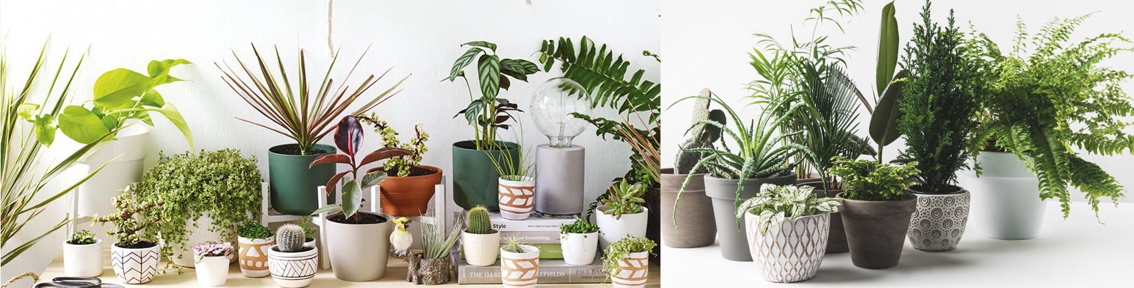 Planter Box