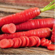 Carrot Red Long