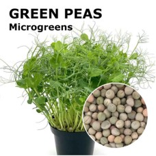 Green Peas Microgreen 100g Green Peas Microgreen 100g