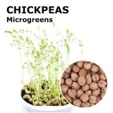 Chickpeas Microgreens 100g Chickpeas Microgreens 100g