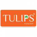 Tulpis
